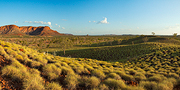 Spinifex Hills