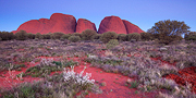 Kata Tjuta