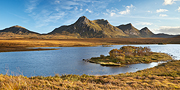 Ben Loyal