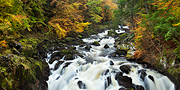 Autumn in Scotland II