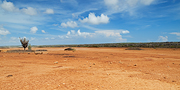 Desertlike