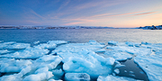 Arctic Ocean I