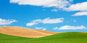 Palouse Hills II