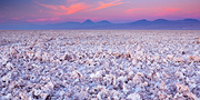 Saltflat Sunset