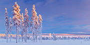 Finland Fells