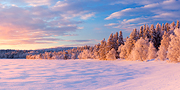 Arctic Winter