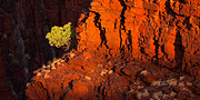 Western Australia