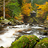 Autumn in Scotland