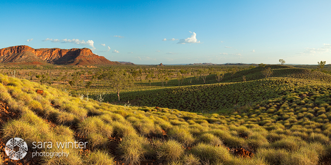 Spinifex Hills