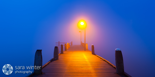 The Fog