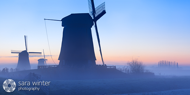 Dutch Dawn