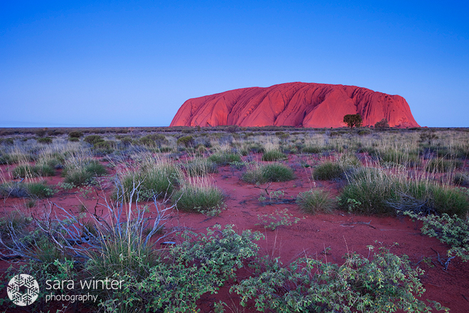 Uluru Sunset