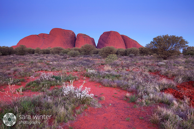 Kata Tjuta