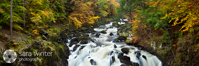 Autumn in Scotland II