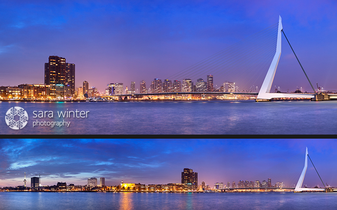 Rotterdam Skyline