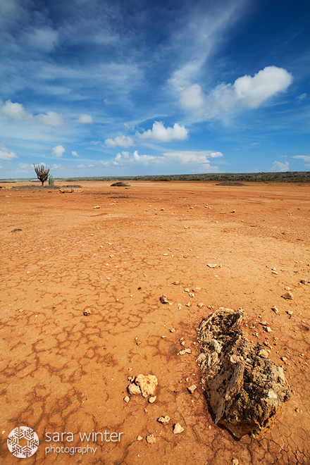 Desertlike