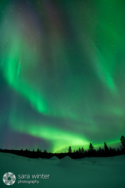 Aurora Borealis I