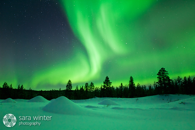 Aurora Borealis III