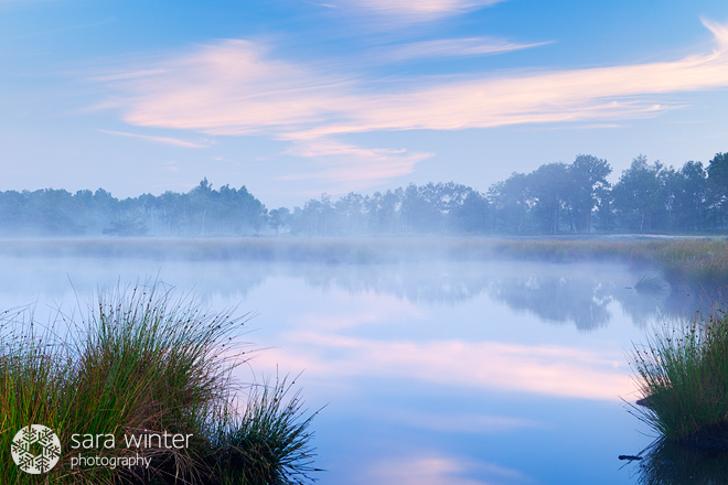 Tranquil Morning