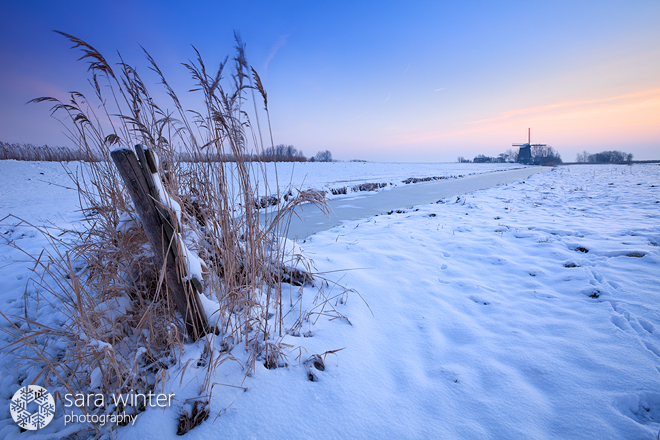 Dutch Blues
