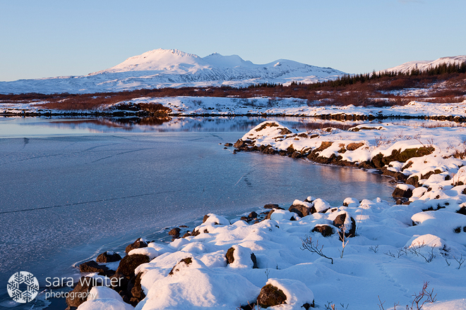Persisting Winter