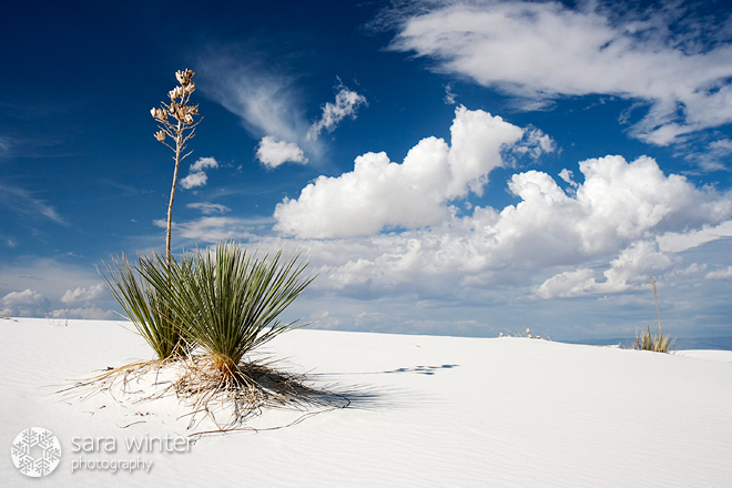 White Sands