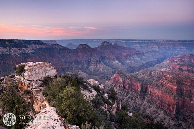 Grand Canyon Dawn