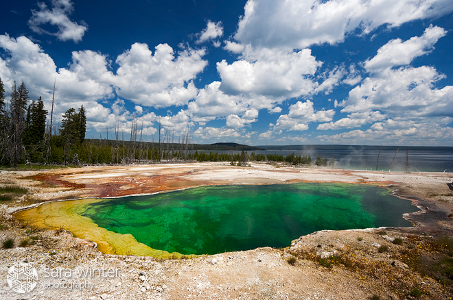 Colourful Landscape