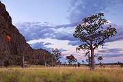 Australian Outback