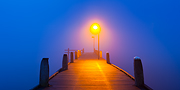 The Fog