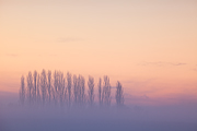 Surrounded by Fog