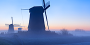 Dutch Dawn