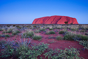Uluru Sunset