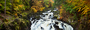 Autumn in Scotland II