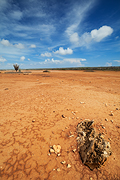 Desertlike