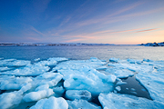 Arctic Ocean I