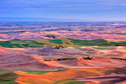 Palouse Hills I
