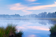 Tranquil Morning