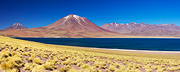 Laguna Miscanti