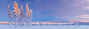 Finland Fells
