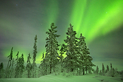 Aurora Borealis VII