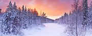 Frozen River